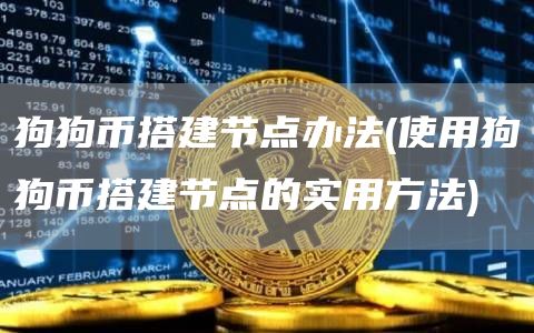 狗狗币搭建节点办法 - 使用狗狗币搭建节点的实用方法